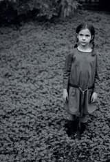 Εξώφυλλο: Η Κασσάνδρα και ο Λύκος