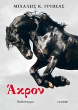 3) Το μυθιστόρημά του «Άκρον» τιμήθηκε (με έπαινο) από την Πανελλήνια Ένωση Λογοτεχνών στον 34ο διαγωνισμό της