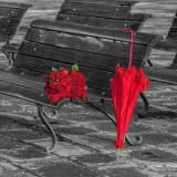 Θολά Μονοπάτια